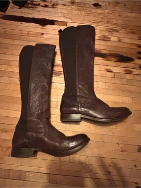 Frye Molly Gore Dark Brown Leather Stretch Riding Boot